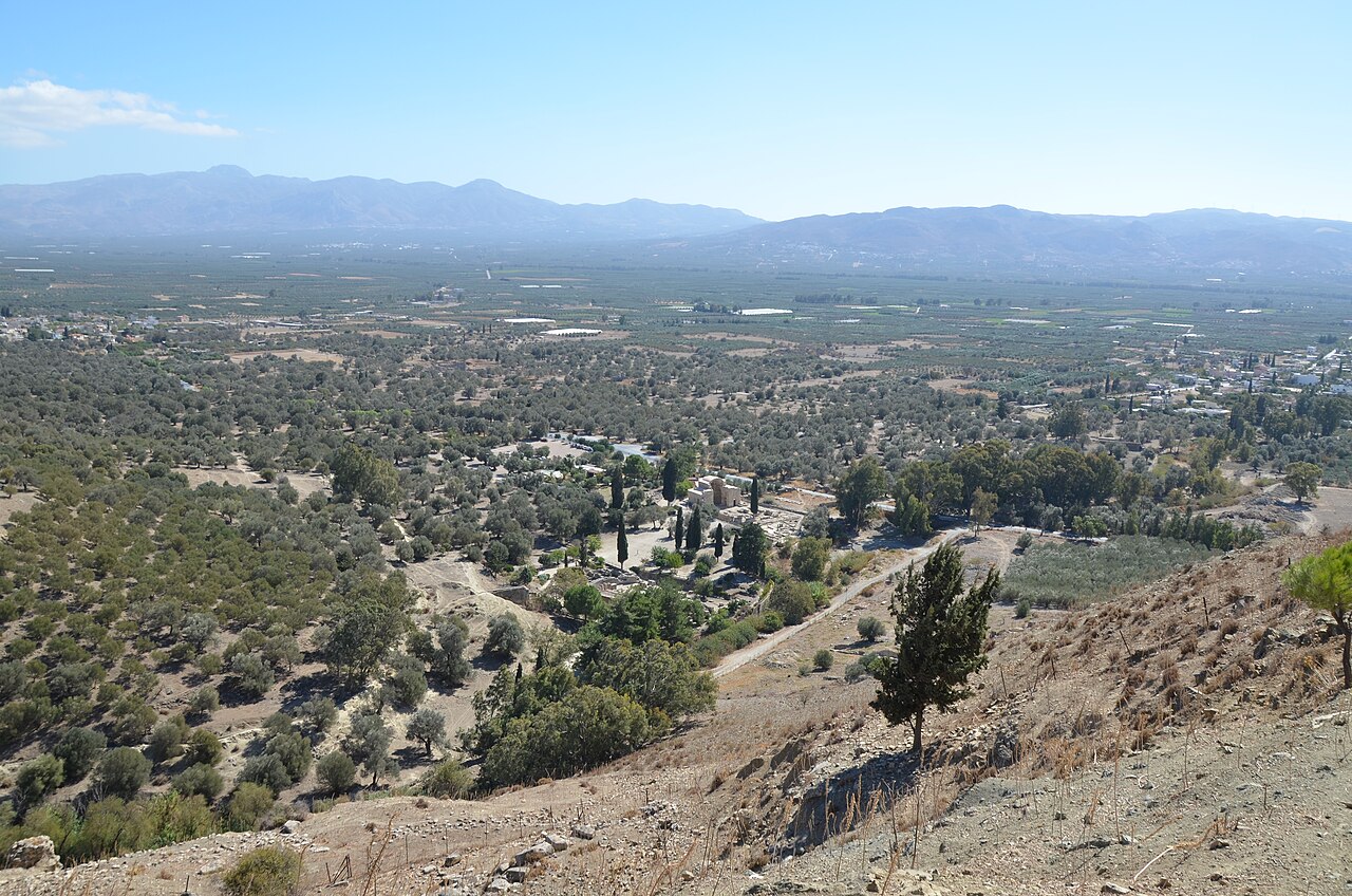 Messara valley and olive groves